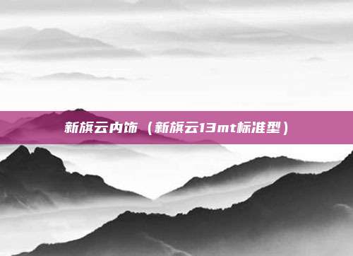 新旗云内饰（新旗云13mt标准型）