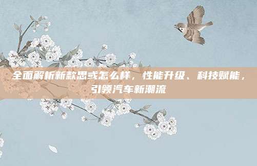 全面解析新款思或怎么样,性能升级、科技赋能,引领汽车新潮流