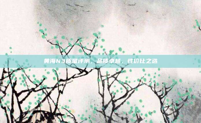 黄海N3质量评测，品质卓越，性价比之选