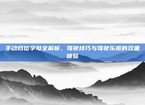 手动档位字母全解析,驾驶技巧与驾驶乐趣的双重体验