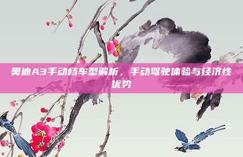 奥迪A3手动档车型解析,手动驾驶体验与经济性优势