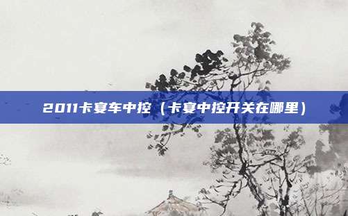 2011卡宴车中控（卡宴中控开关在哪里）