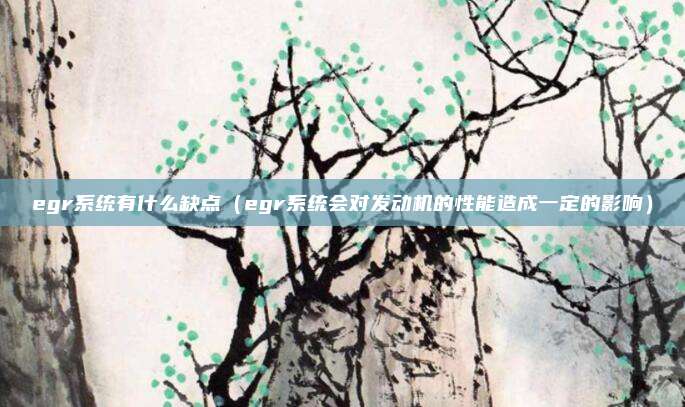 egr系统有什么缺点(egr系统会对发动机的性能造成一定的影响)