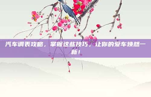 汽车调表攻略,掌握这些技巧,让你的爱车焕然一新!