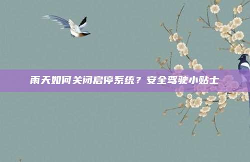 雨天如何关闭启停系统?安全驾驶小贴士