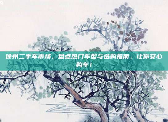 徐州二手车市场,盘点热门车型与选购指南,让你安心购车!