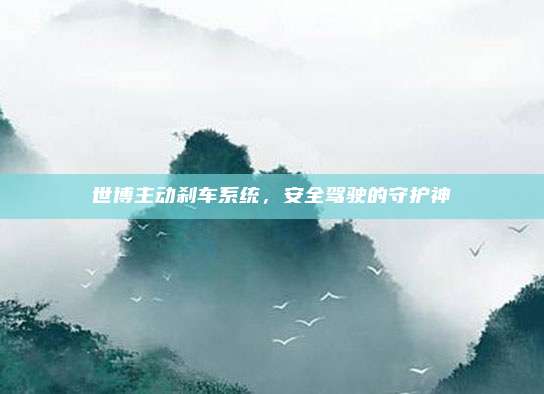 世博主动刹车系统,安全驾驶的守护神