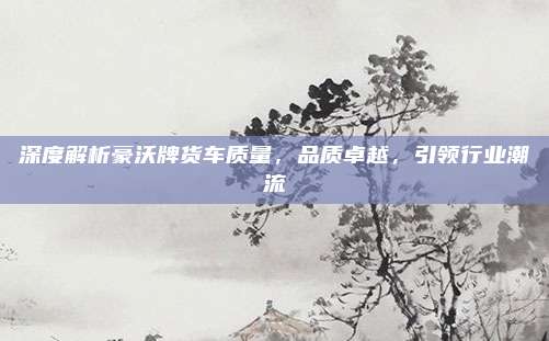深度解析豪沃牌货车质量,品质卓越,引领行业潮流