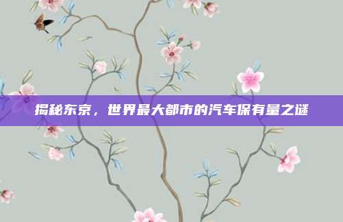 揭秘东京,世界最大都市的汽车保有量之谜