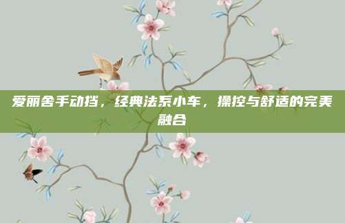 爱丽舍手动挡,经典法系小车,操控与舒适的完美融合