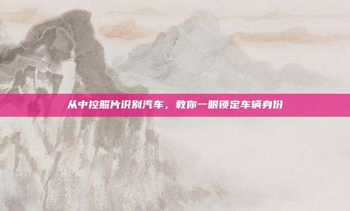 从中控照片识别汽车,教你一眼锁定车辆身份