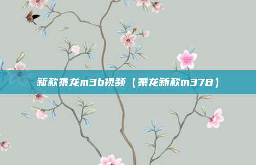 新款乘龙m3b视频(乘龙新款m378)