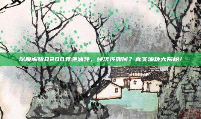 深度解析B200奔驰油耗,经济性如何?真实油耗大揭秘!