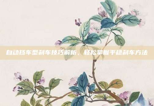 自动挡车型刹车技巧解析,轻松掌握平稳刹车方法