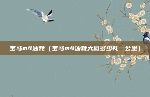 宝马m4油耗（宝马m4油耗大概多少钱一公里）