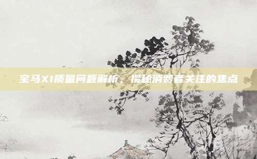 宝马X1质量问题解析,揭秘消费者关注的焦点