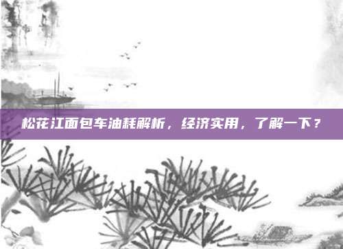 松花江面包车油耗解析,经济实用,了解一下?