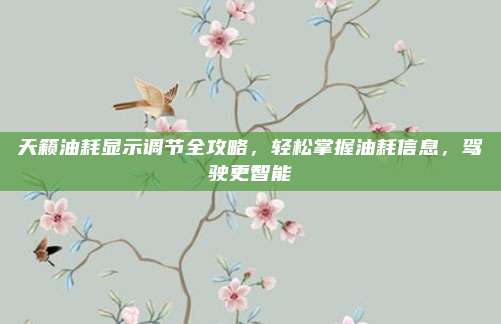 天籁油耗显示调节全攻略,轻松掌握油耗信息,驾驶更智能