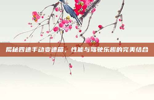 揭秘四速手动变速箱，性能与驾驶乐趣的完美结合
