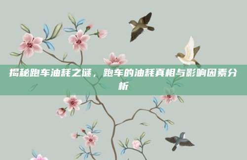 揭秘跑车油耗之谜，跑车的油耗真相与影响因素分析