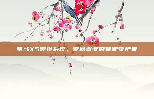 宝马X5夜视系统，夜间驾驶的智能守护者