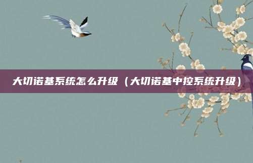 大切诺基系统怎么升级（大切诺基中控系统升级）
