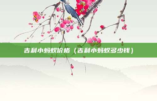 吉利小蚂蚁价格（吉利小蚂蚁多少钱）