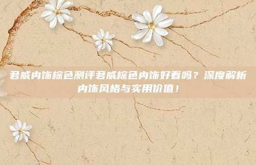 君威内饰棕色测评君威棕色内饰好看吗?深度解析内饰风格与实用价值!