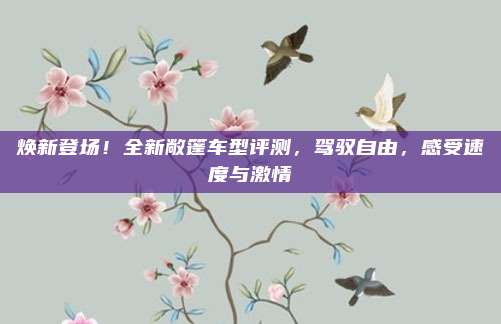 焕新登场!全新敞篷车型评测,驾驭自由,感受速度与激情