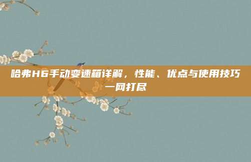 哈弗H6手动变速箱详解,性能、优点与使用技巧一网打尽