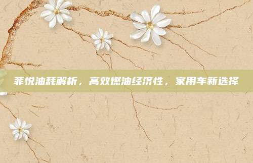 菲悦油耗解析,高效燃油经济性,家用车新选择