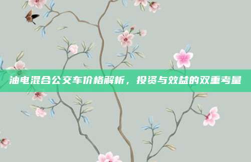 油电混合公交车价格解析,投资与效益的双重考量