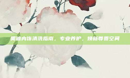 奥迪内饰清洗指南,专业养护,焕新尊贵空间