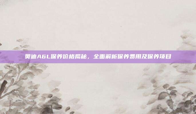 奥迪A6L保养价格揭秘,全面解析保养费用及保养项目