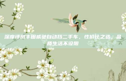 深度评测丰田威驰自动挡二手车，性价比之选，品质生活不设限
