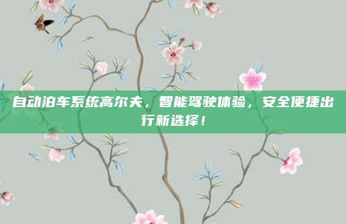 自动泊车系统高尔夫,智能驾驶体验,安全便捷出行新选择!