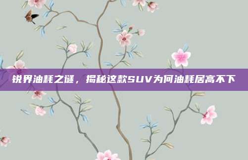 锐界油耗之谜,揭秘这款SUV为何油耗居高不下