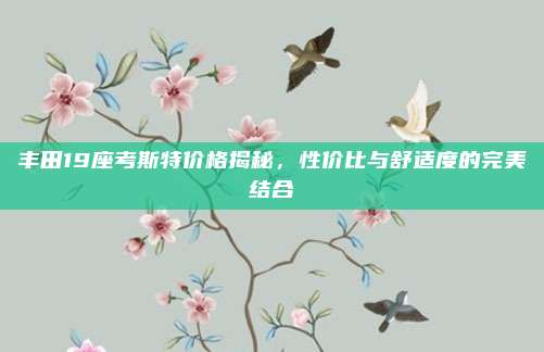 丰田19座考斯特价格揭秘,性价比与舒适度的完美结合