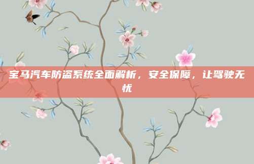 宝马汽车防盗系统全面解析,安全保障,让驾驶无忧