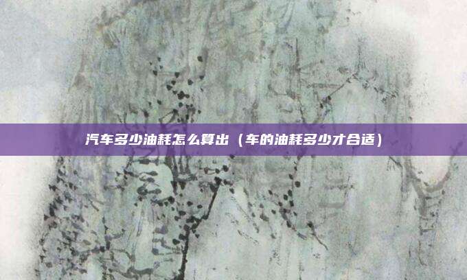汽车多少油耗怎么算出（车的油耗多少才合适）