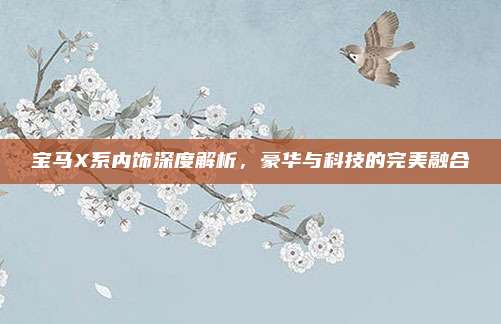宝马X系内饰深度解析,豪华与科技的完美融合