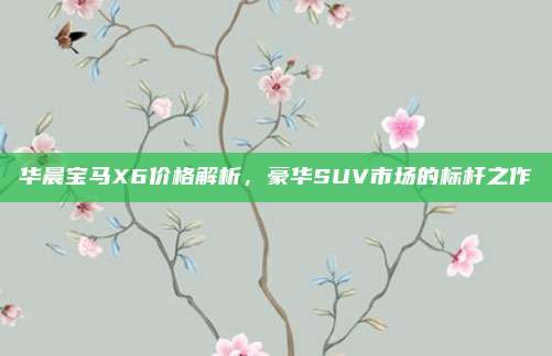 华晨宝马X6价格解析,豪华SUV市场的标杆之作