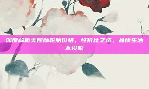 深度解析美麒麟轮胎价格,性价比之选,品质生活不设限