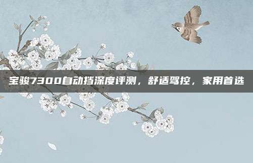 宝骏7300自动挡深度评测,舒适驾控,家用首选