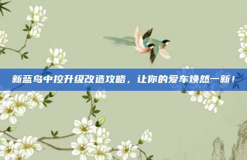 新蓝鸟中控升级改造攻略,让你的爱车焕然一新!
