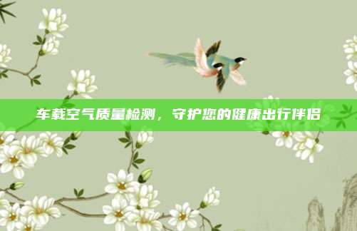 车载空气质量检测,守护您的健康出行伴侣