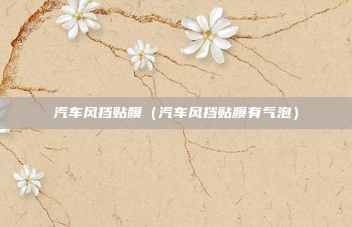 汽车风挡贴膜（汽车风挡贴膜有气泡）