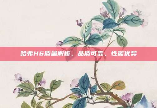 哈弗H6质量解析,品质可靠,性能优异