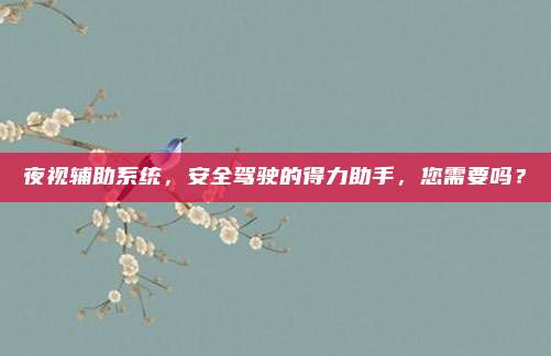 夜视辅助系统,安全驾驶的得力助手,您需要吗?