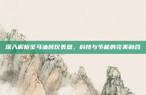 深入解析宝马油耗仪表盘,科技与节能的完美融合